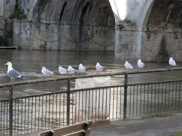 Exploring in the city of Bath, England led me to find this beautiful canal.