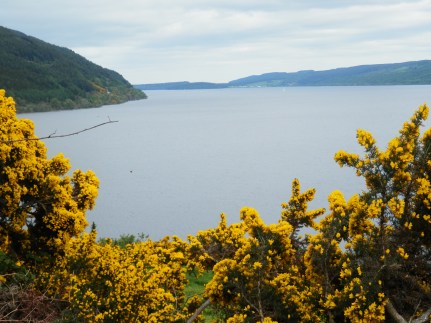 I came across this scene on my hike to see Loch Lomond in Scotland. 
